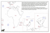 bee02 to madagascar_thumb.gif
